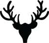 TAXIDERMY Brand