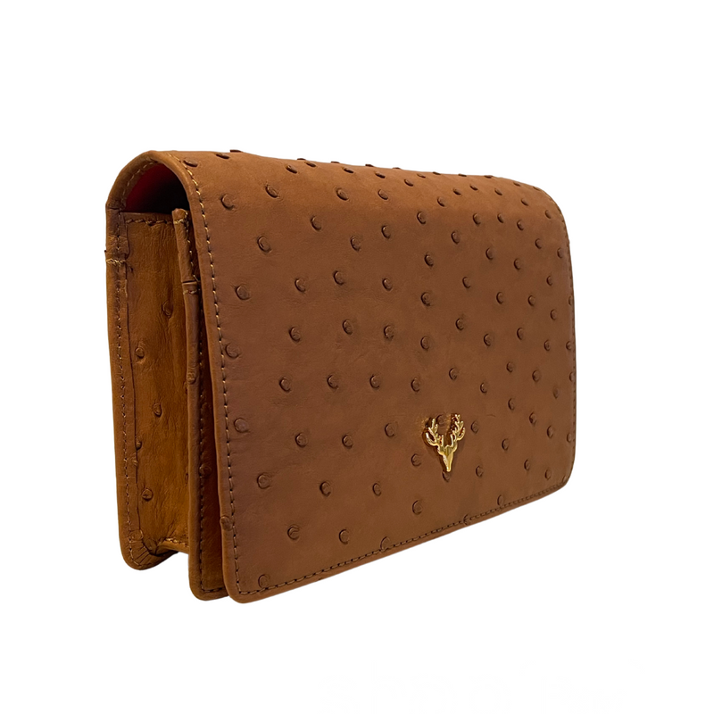 Ash Minibag Ostrich--Ostrich Special Order Colors