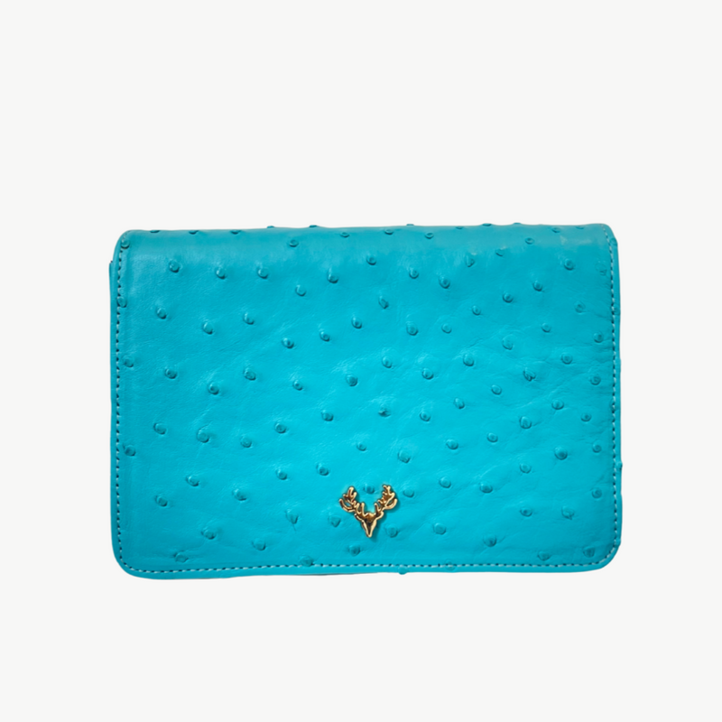 Ash Minibag Ostrich--Ostrich Special Order Colors