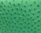 Ash Minibag Ostrich--Ostrich Special Order Colors