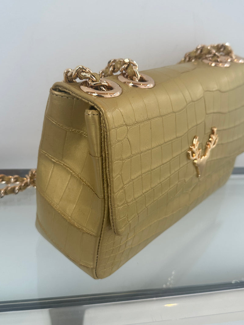 Gold Crocodile JW--Amy's Closet #5