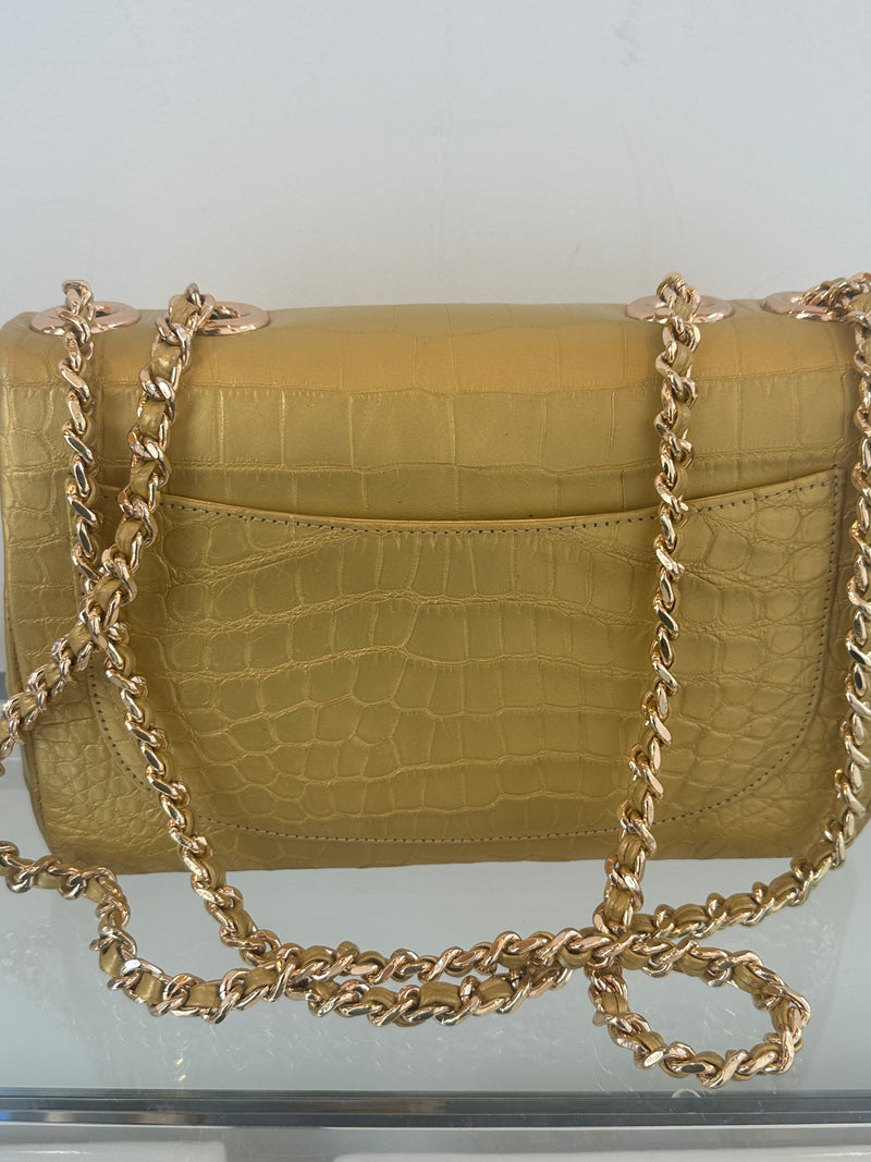 Gold Crocodile JW--Amy's Closet #5