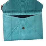 Pool Python Envelope Macbook Case/Clutch--Flash Sale