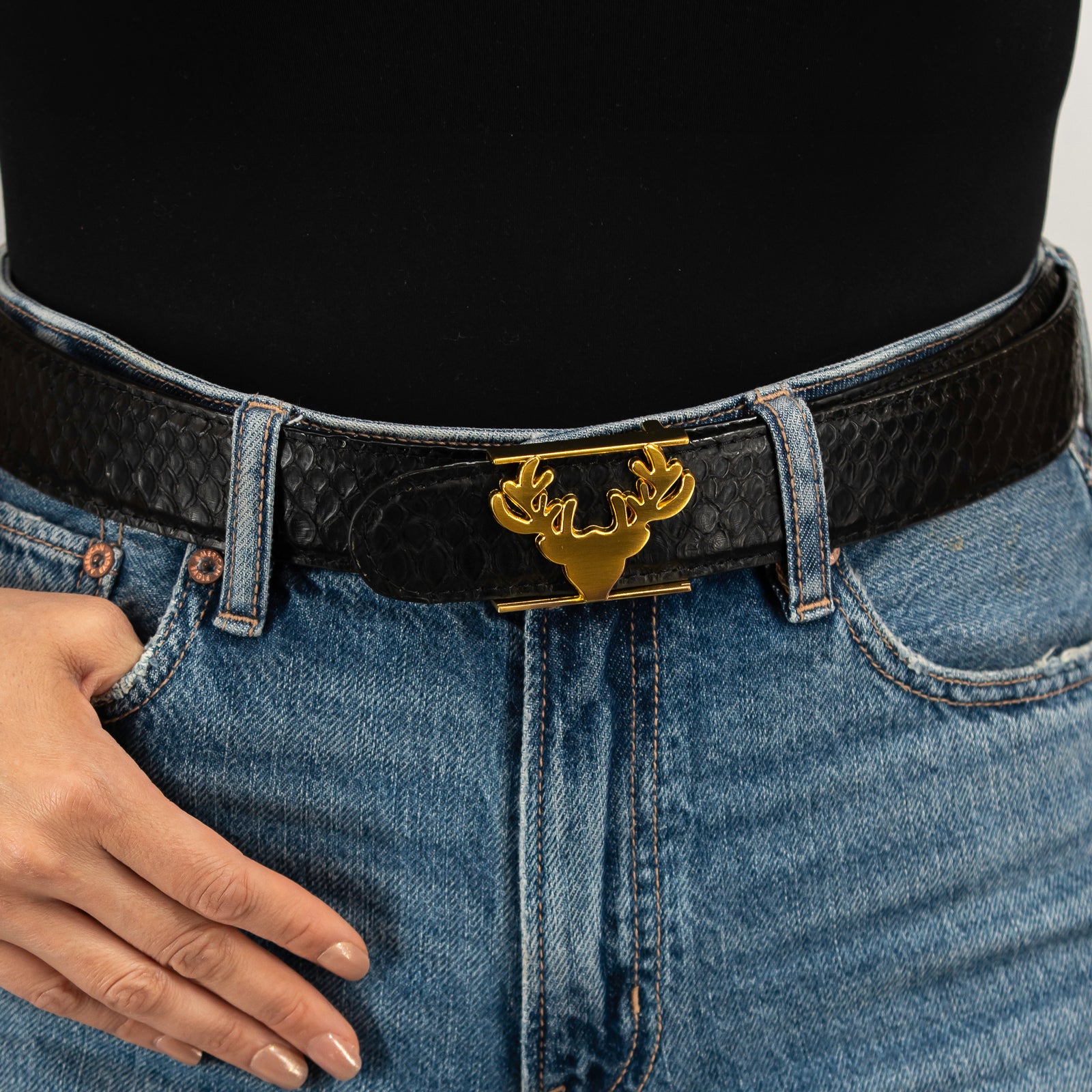 Python Logo Belt – Taxidermy