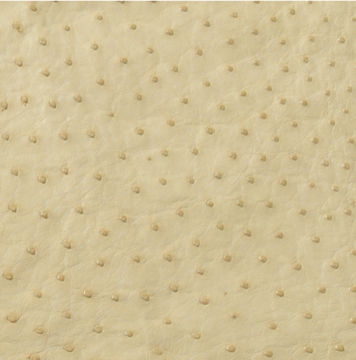 Sayre Mini Ostrich--Special Order Colors