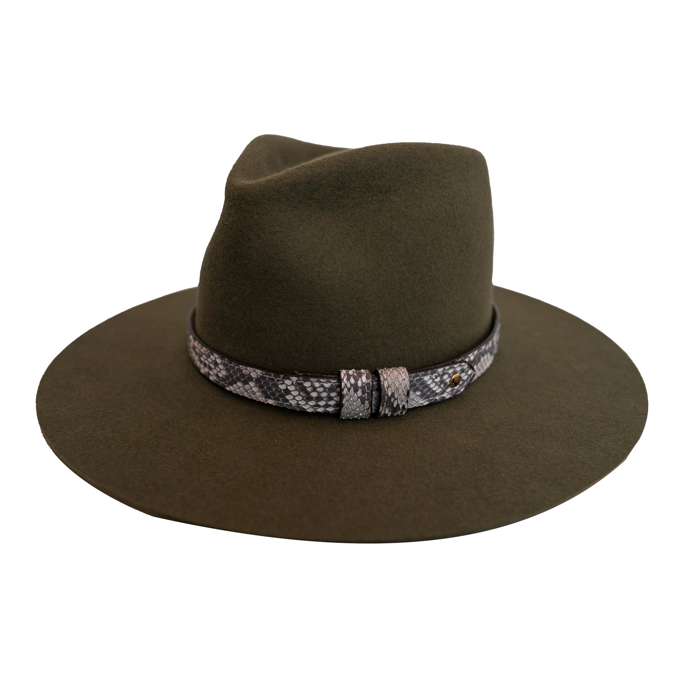 Python Hat Band – Taxidermy