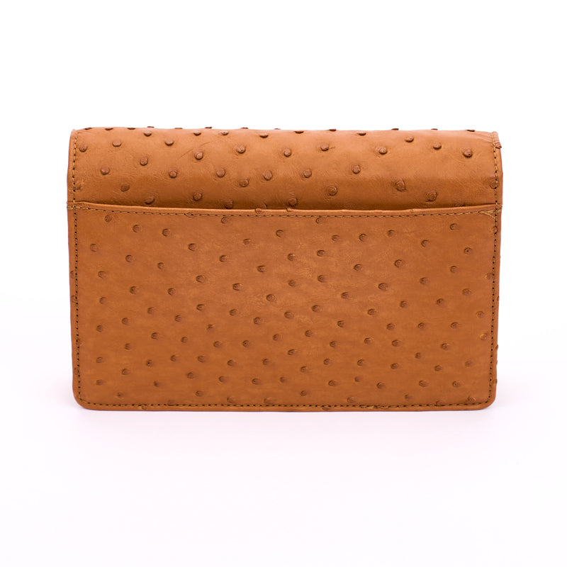 Ash Minibag Ostrich--New!