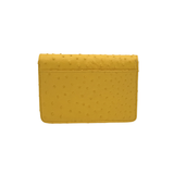 Ash Minibag Ostrich--In Stock Colors