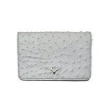 Ash Minibag Ostrich--In Stock Colors