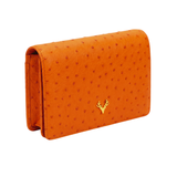 Ash Minibag Ostrich--Ostrich Special Order Colors